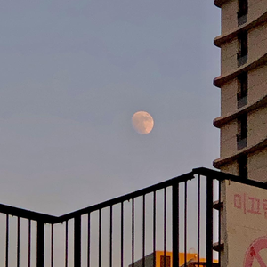 极品老师㧒开粉嫩小泬小
